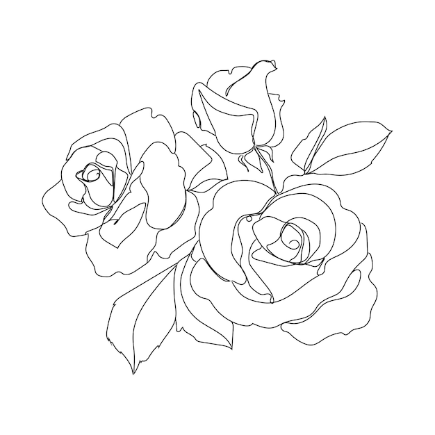 Sketch rose buds outlay vector minimalistic illustration isolated on whiteThree rose flowers