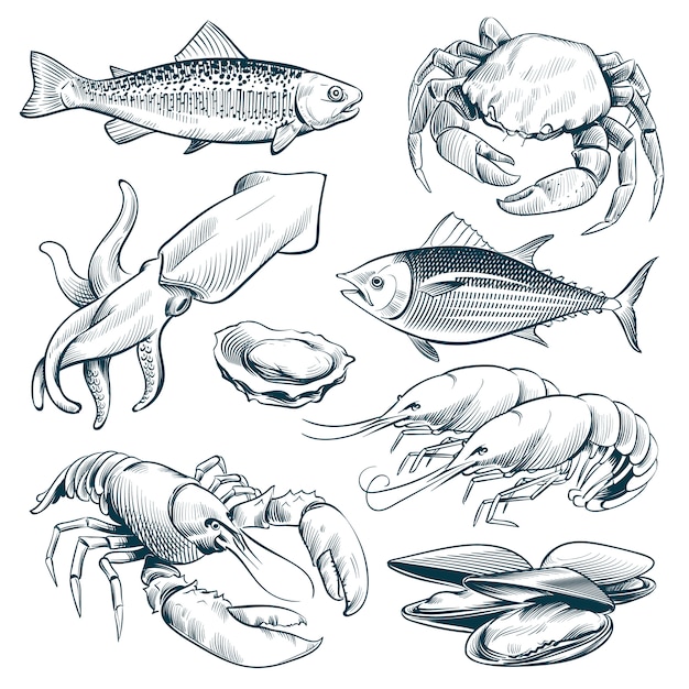 Эскиз морепродуктов. омары моллюски рыба креветки. ручной обращается морепродукты еды винтаж векторный набор изолированных