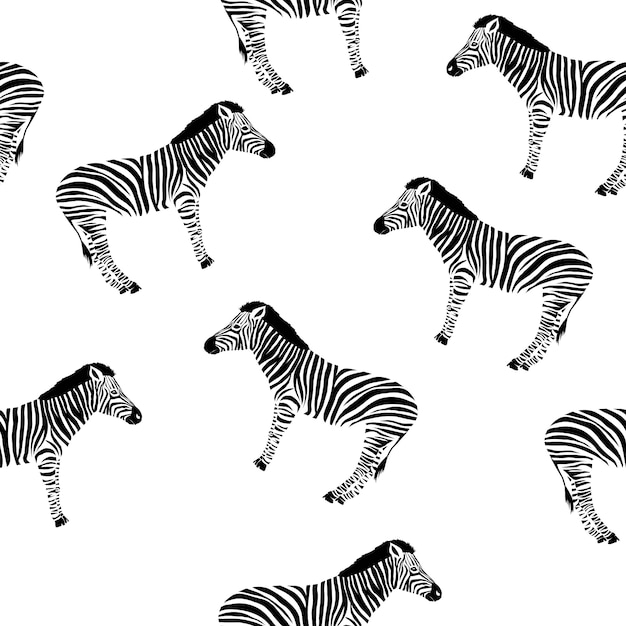 Sketch seamless pattern with wild zebra