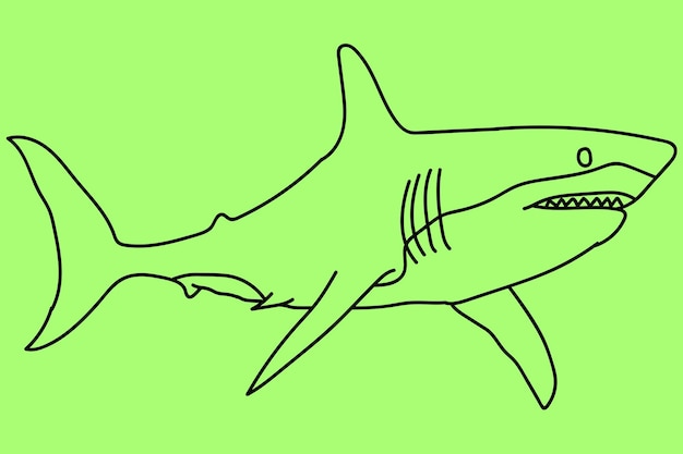 Sketch shark line art