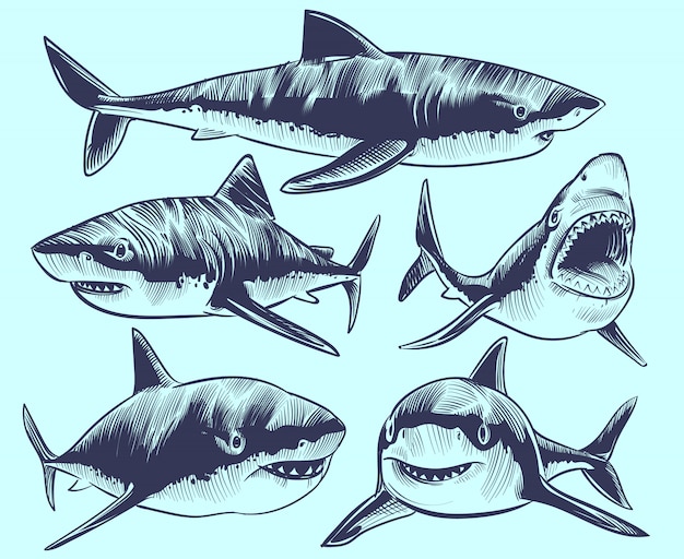 Эскиз акулы. плавающие акулы с открытым ртом. подводная коллекция татуировок животных