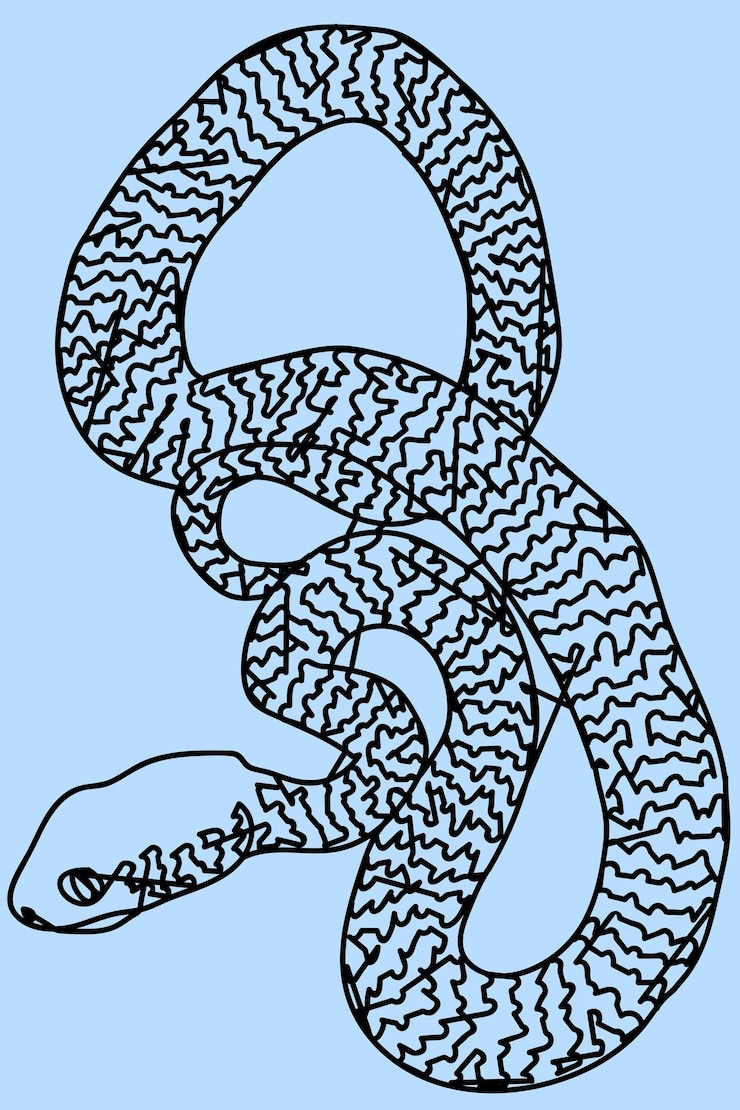 Vector sketch snake line art