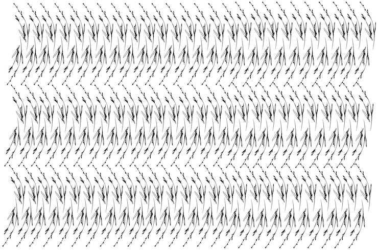 Vector sketch of a stalk of grass swinging in the wind