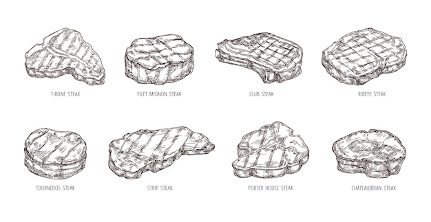 スケッチ ステーキ手描き牛肉食品彫刻バーベキュー肉ストリップ クラブとリブアイ ステーキ ベクトル セット