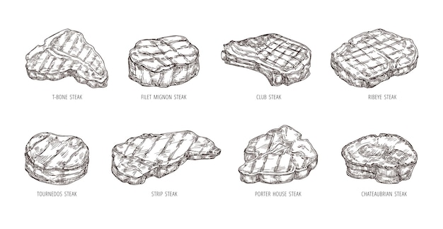 Bistecca di schizzo insieme di vettori di bistecche di carne di manzo disegnato a mano con incisione di carne di manzo e ribeye