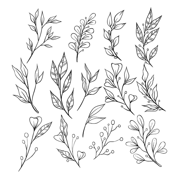 Vector sketch style of floral ornament with branches and leaves on white background.