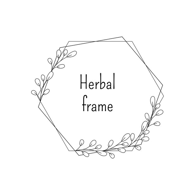 Sketch style minimalistic herbal frame in hexagon shape isolated on white background vector