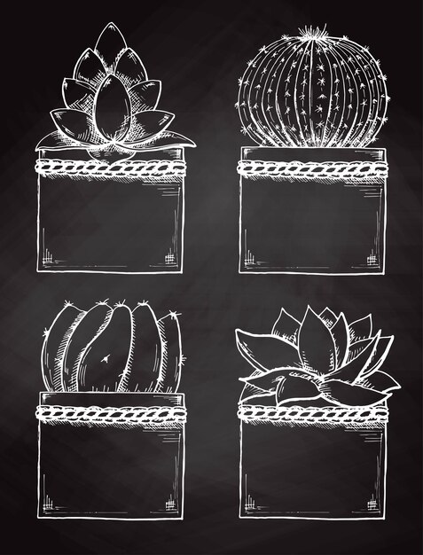 Sketch succulents in pots isolated on the chalkboard. vector illustration.