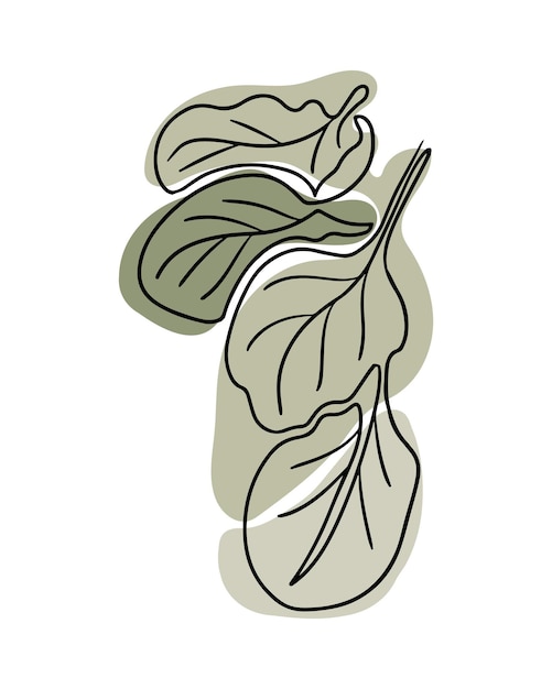 Sketch tekening van spinadeblaadjes in boho-stijl