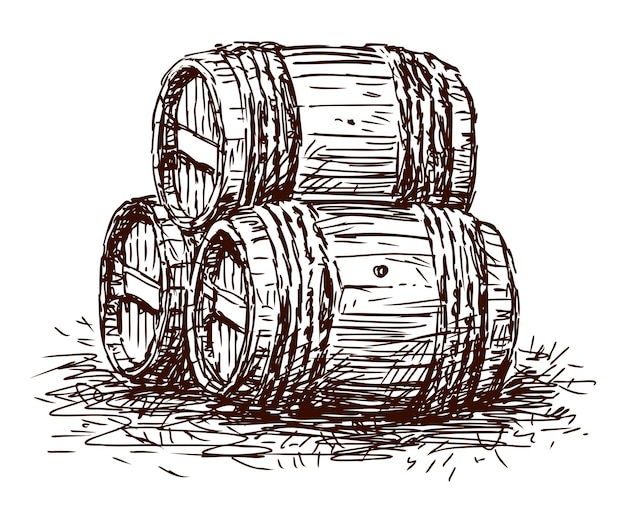 Vector sketch of three old wooden wine barrels