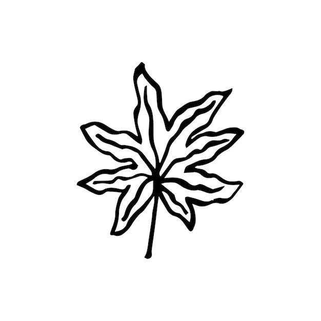 Disegna una foglia di aralia tropicale in stile art linea. pianta della giungla di contorno di scarabocchio. foglie esotiche disegnate a mano illustrazione vettoriale isolato su sfondo bianco