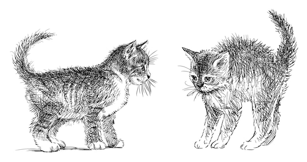 Скетч двух смешных маленьких домашних котят черно-белый векторный рисунок руки изолированный на белом