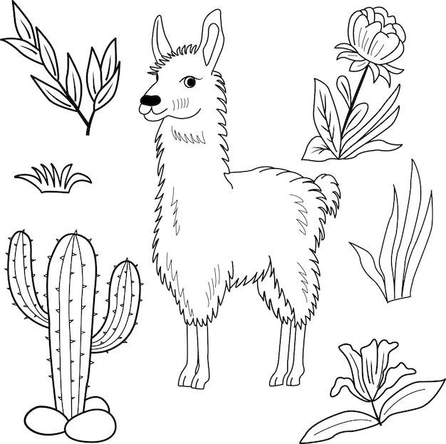 Schizzo di lama vettoriale, fiori, erba e foglie. illustrazione di un alpaca sul prato per un bambino