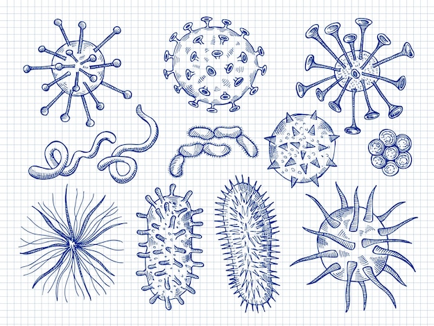 Schizzo virus covid batteri microbiologia cellula pericolo malattie biologiche segni recenti illustrazioni vettoriali disegnate a mano