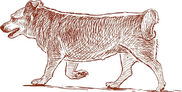 Sketch of a walking dog