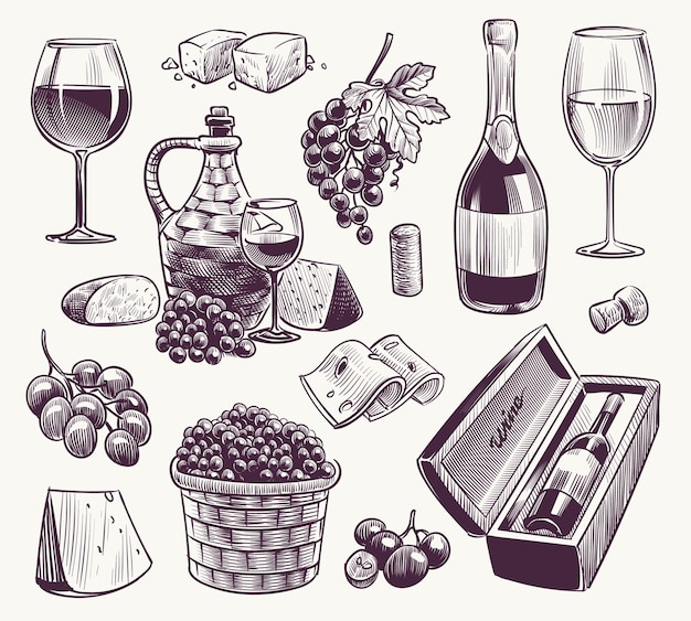 Vettore illustrazione del vino di schizzo