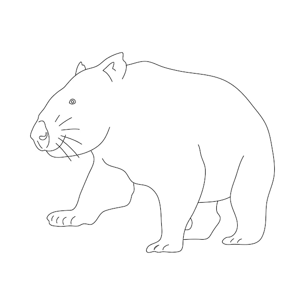 Vector sketch of wombat hand drawn vector illustration