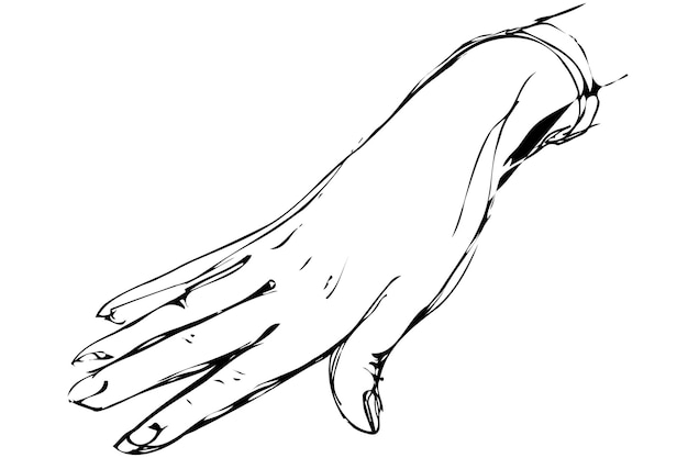 Vector sketch of women's right hand