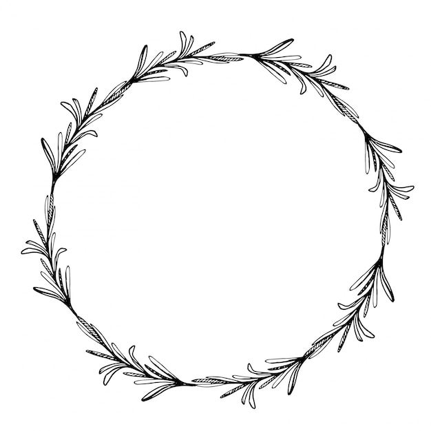 Vettore corona di schizzo con rosmarino. cornice doodle. bordo botanico disegnato a mano