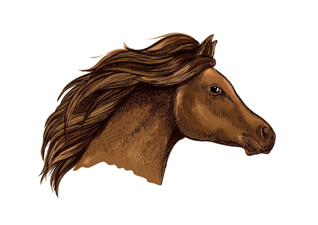 Vector sketched brown horse for equestrian design