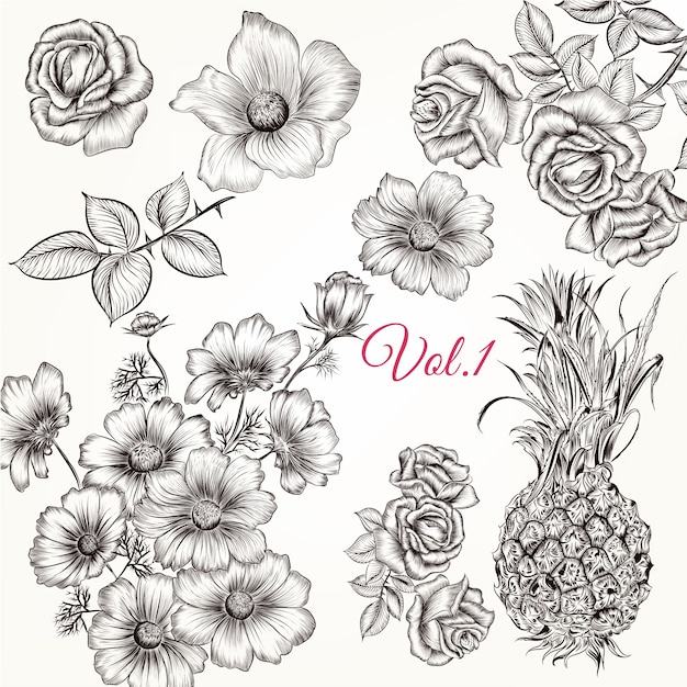 Sketched flowers collection