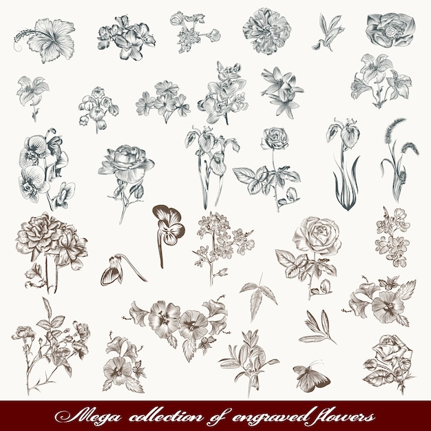 Vector sketched flowers collection