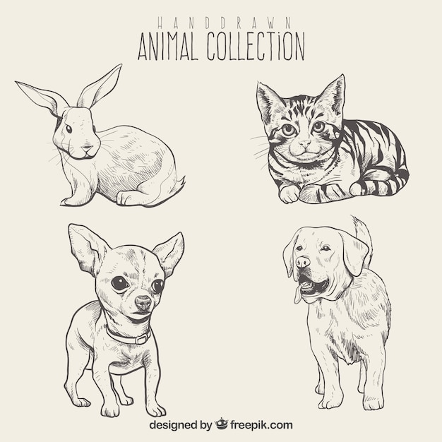 Vector sketches of beautiful animals set