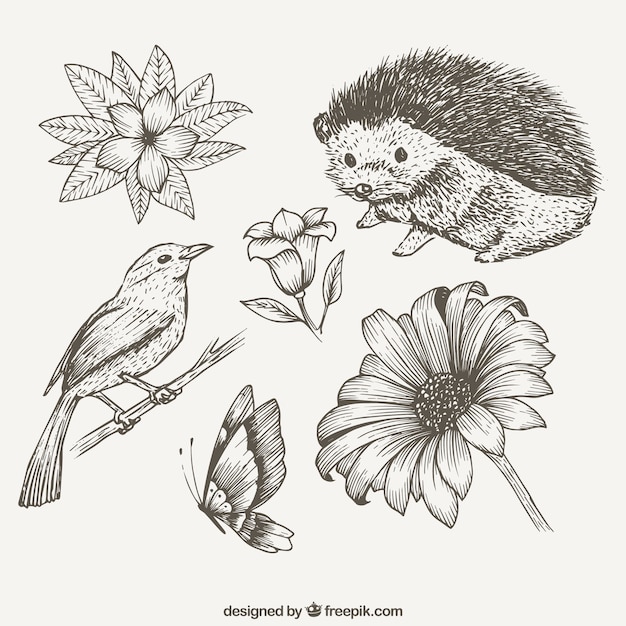 Sketches cute animals and flowers