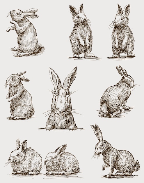 Sketches of different easter rabbits