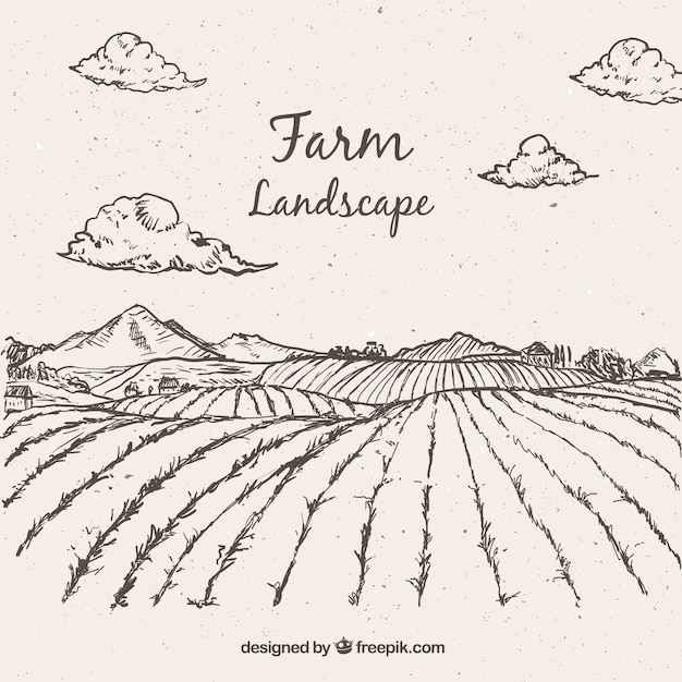 Vector sketches farming landscape