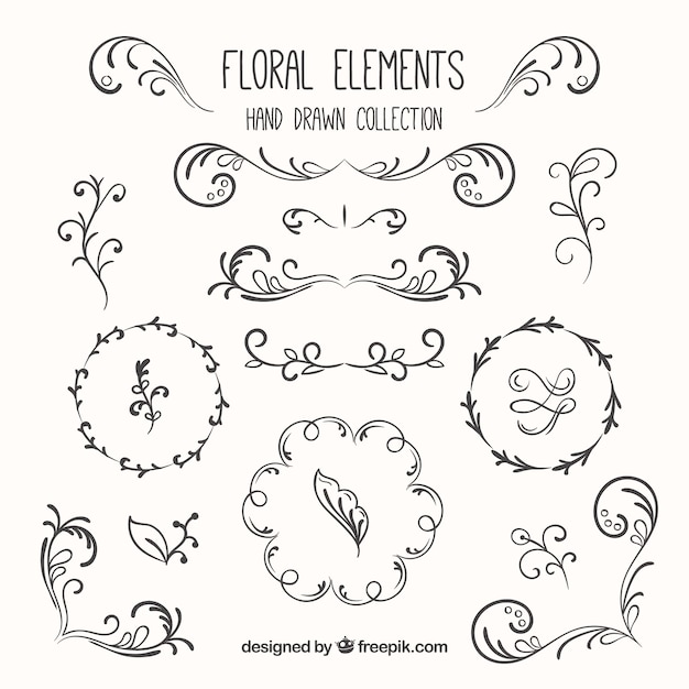 Sketches floral elements