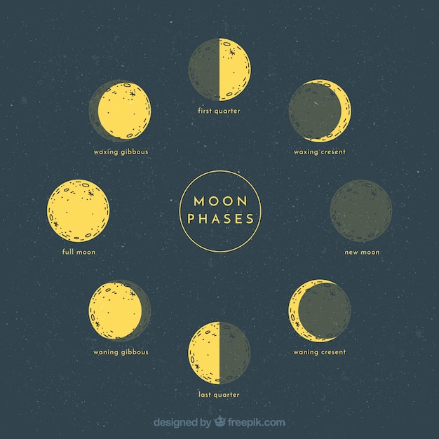 Sketches of lunar phases