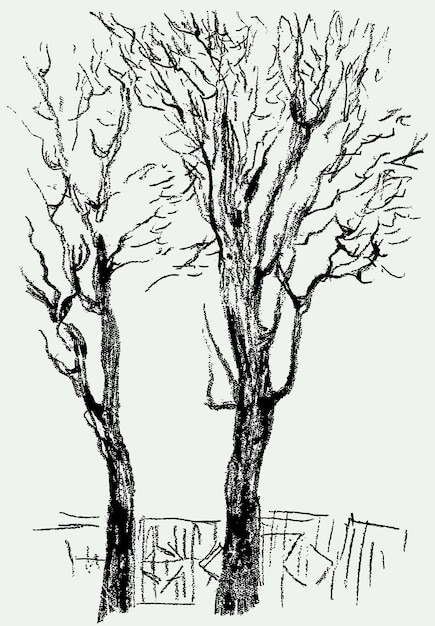 Эскизы силуэтов деревьев в городском зимнем парке