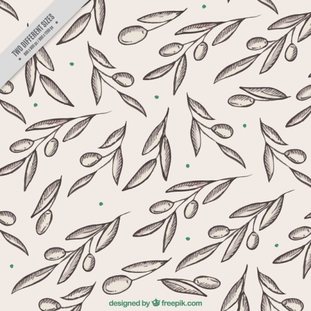 Sketches of olives and leaves background