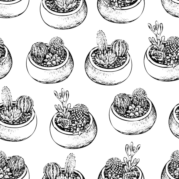 Vector sketches of pots with cacti and succulents. house plants floral ornament. vintage vector seamless pattern. botanical design for background, wallpaper, wrap, textile.
