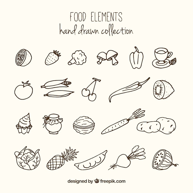 Sketches variety of healthy food