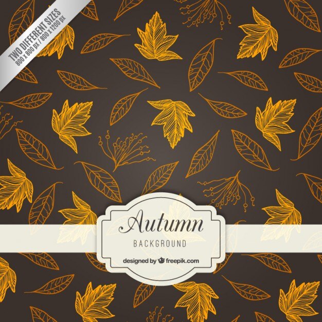 Vector sketchy autumn leaves background