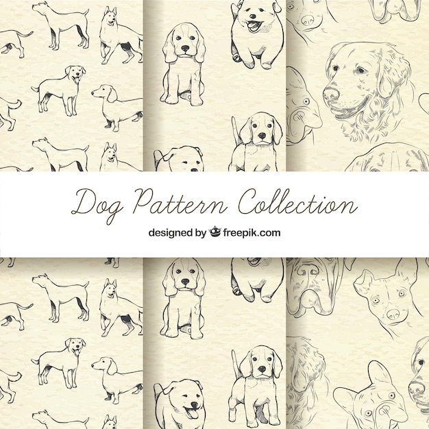 Vector sketchy dog pattern collection