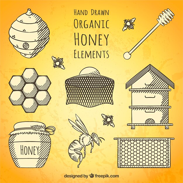 Sketchy honey equipment