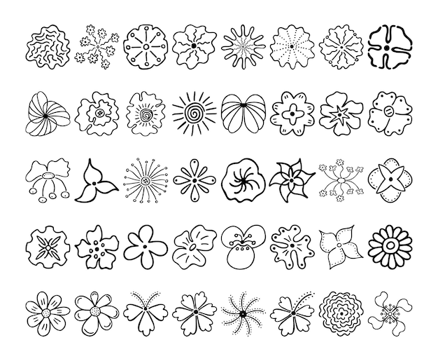 花のシルエットの大ざっぱな線形イメージ開花中の植物のつぼみの手描きの図面