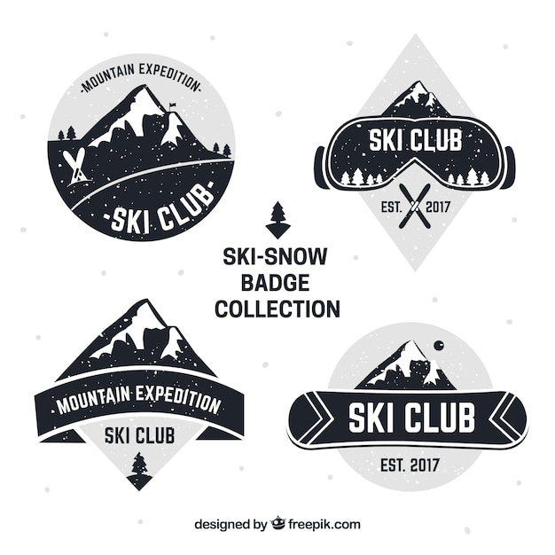 Vector ski badge collection