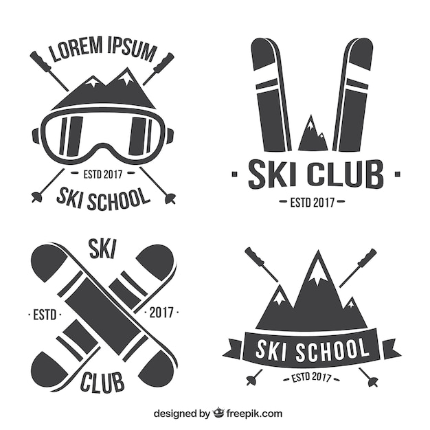 Vector ski badge collection