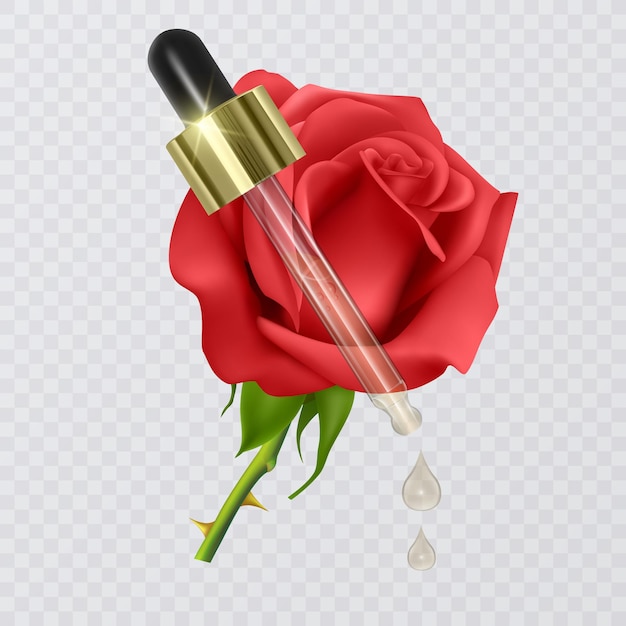 Skin care Beauty product with rose and pink flowers. Vector illustration for your graphic design