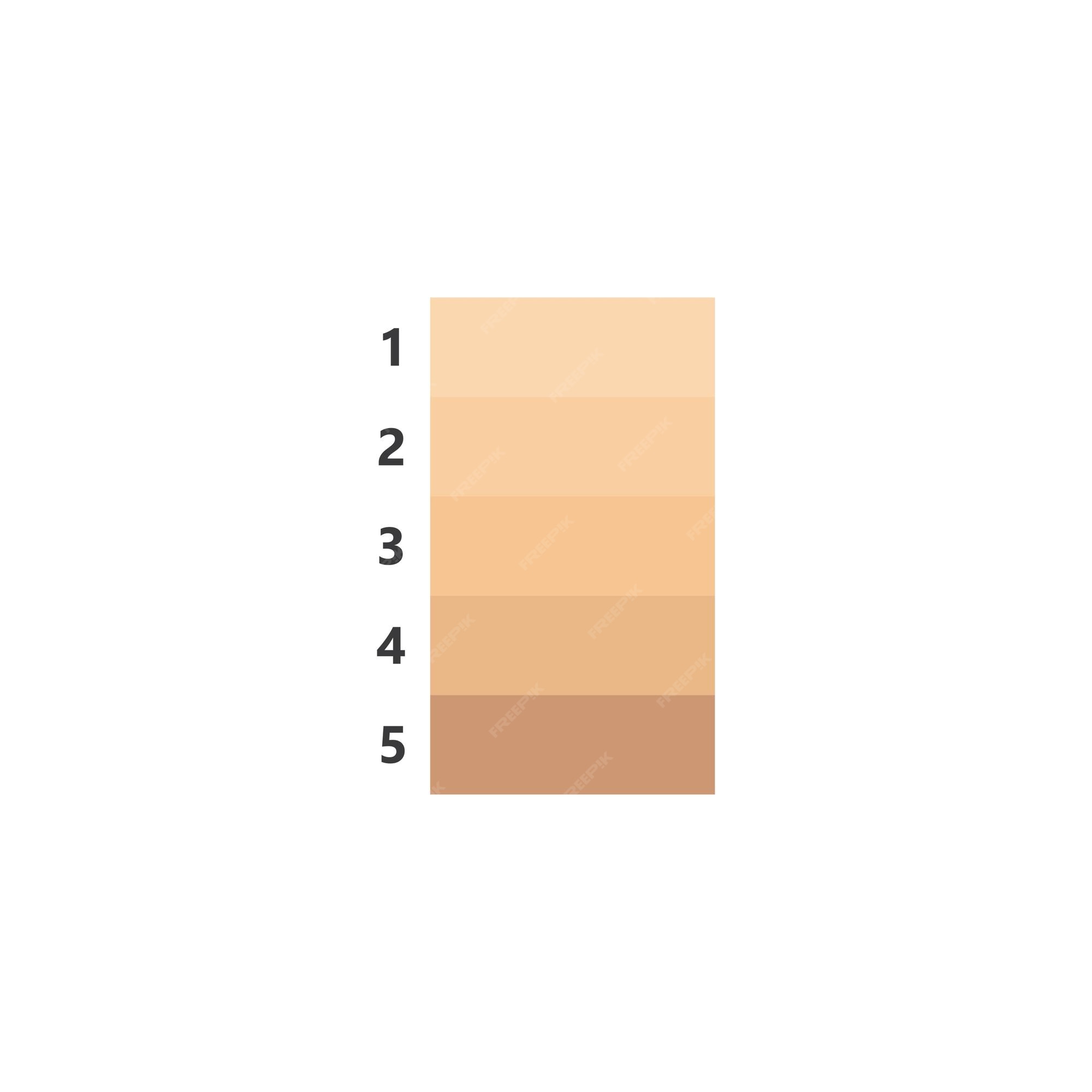 Human skin tone color palette 7511504 Vector Art at Vecteezy