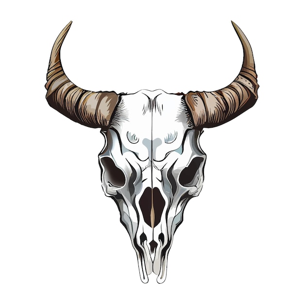 Vector skull of an animal colorful vector art illustration