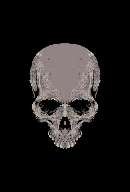 Vector skull artwork detail with illustration