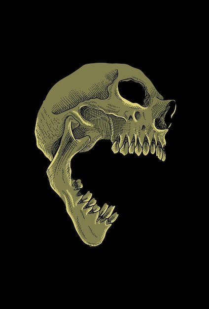 Vector skull artwork illustration hand drawing