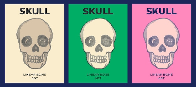 Vector skull bone colored poster design