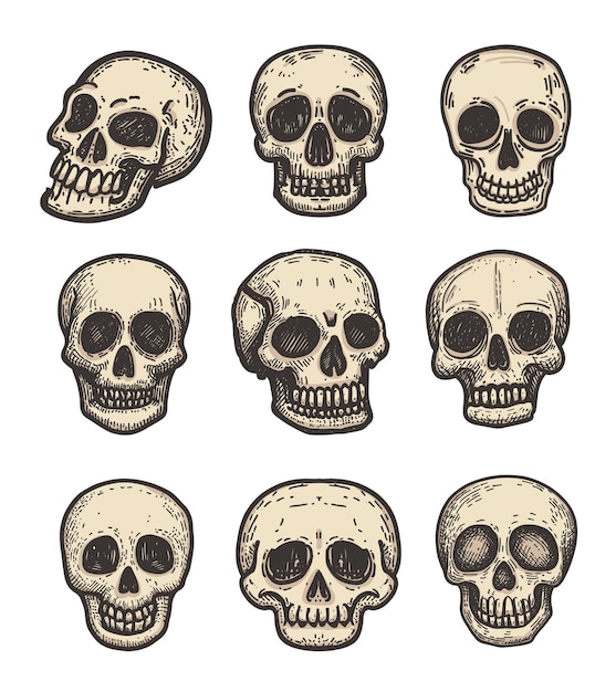 Vector skull bone doodle style vector illustration