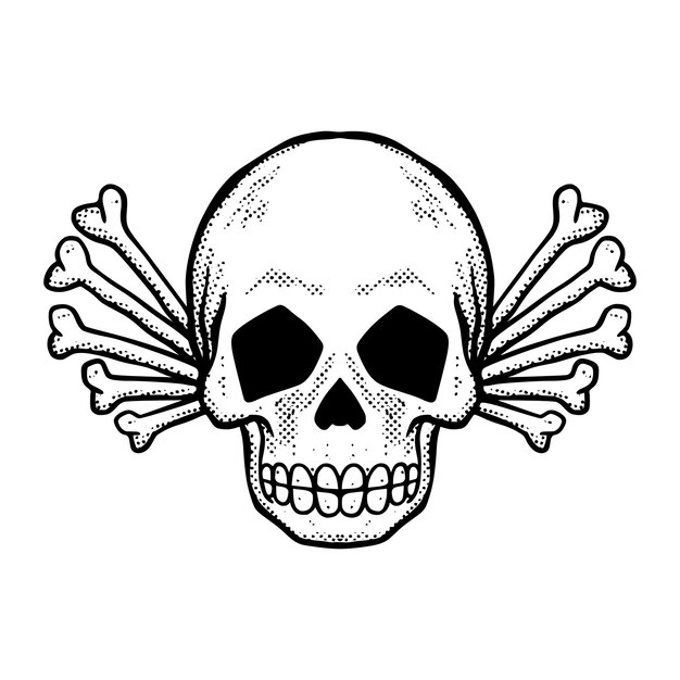Skull bone illustration vector for tshirt jacket hoodie can be used for stickers etc